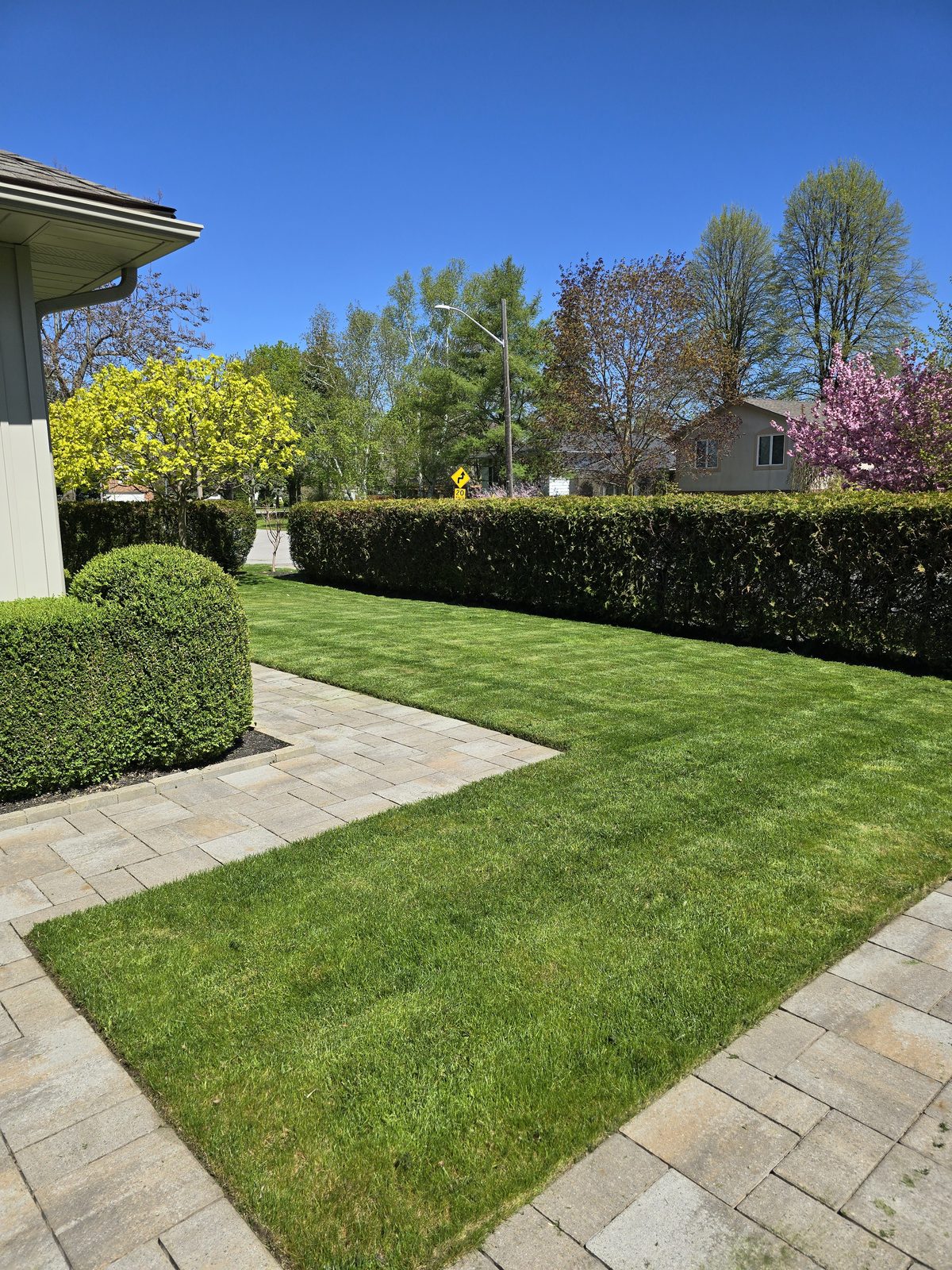 Manicured lawn and shaped shrubs — Steadfast Home Services result