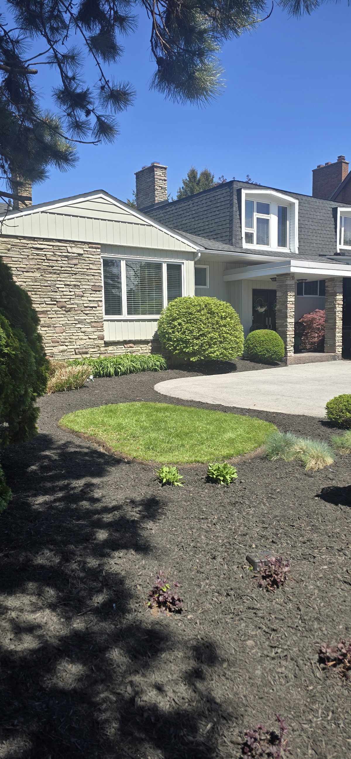 Spring garden cleanup with shaped shrubs and fresh mulch